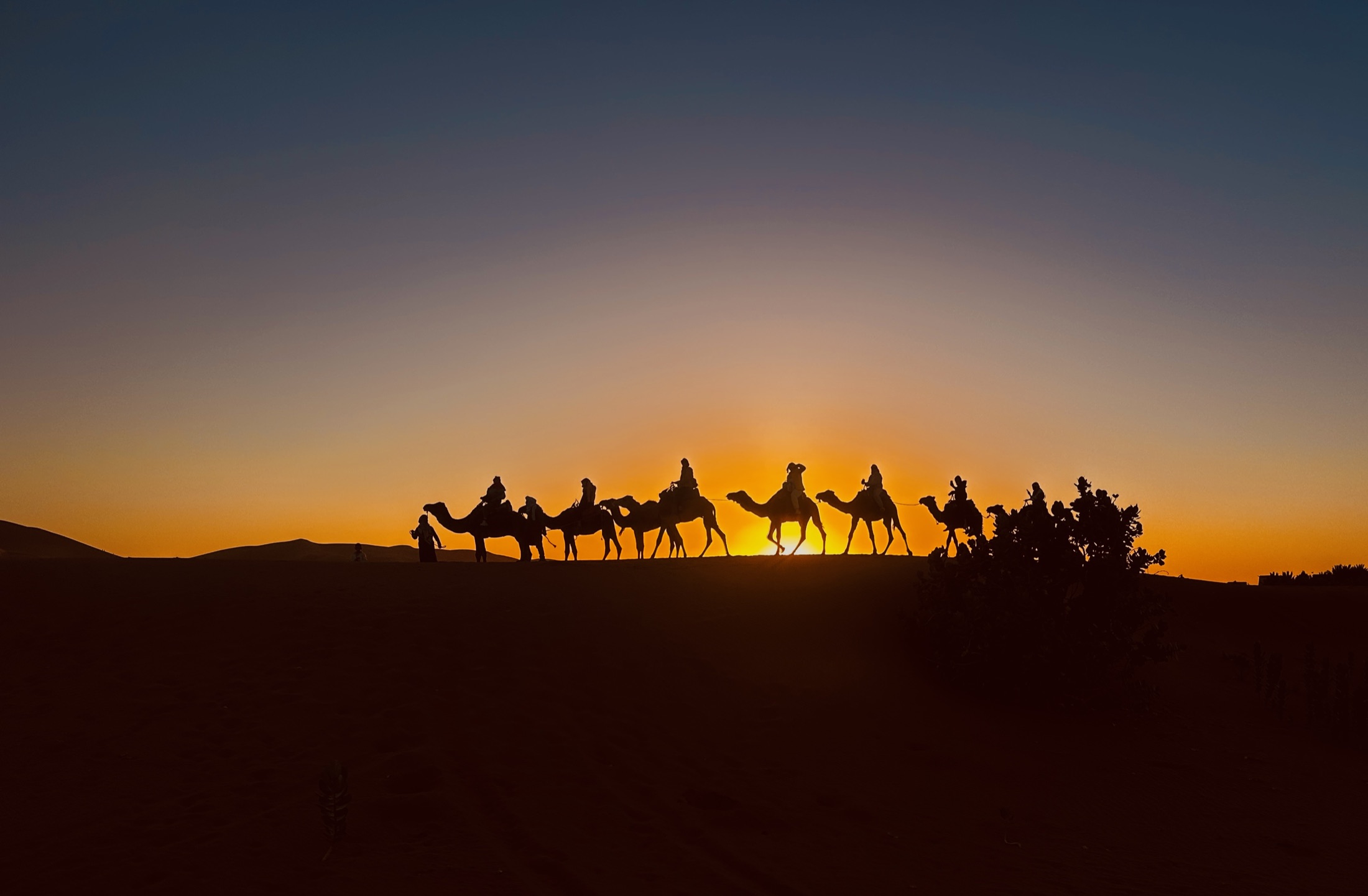 A caravan of camels silhouetted against a glowing orange desert sunset